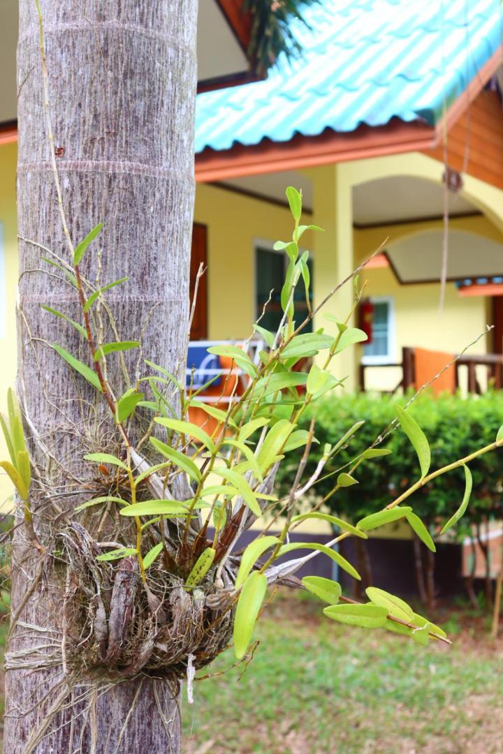 Baanrimklong Bungalow Koh Chang Zewnętrze zdjęcie